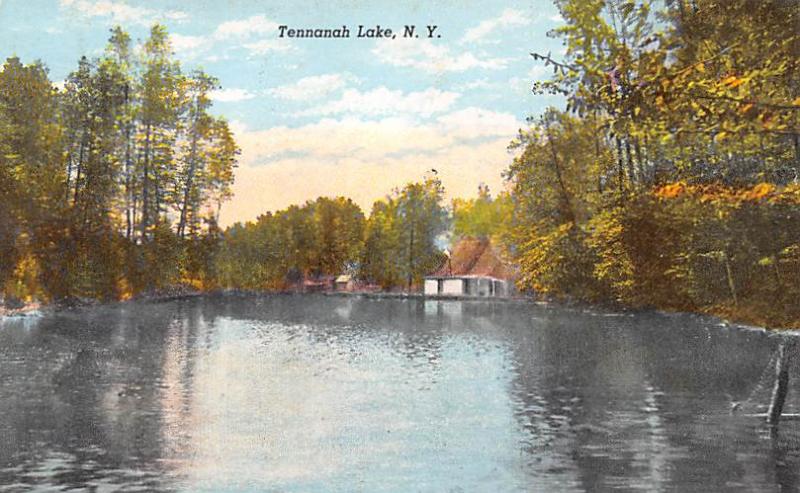 Post Card Old Vintage Antique Tennanah Lake, New York USA Unused