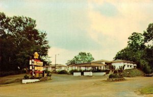 NATCHEZ, Mississippi MS   TERRACE MOTEL  Roadside  VINTAGE Chrome  Postcard