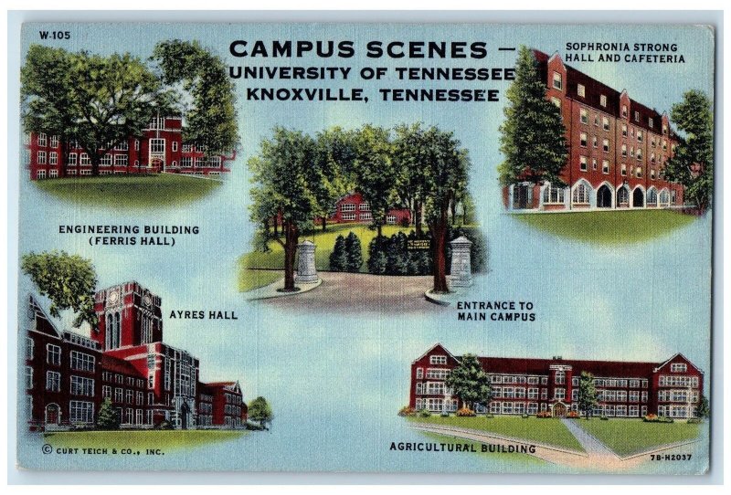 Knoxville Tennessee Postcard Campus Scenes Ayres Hall Entrance Main Campus 1950