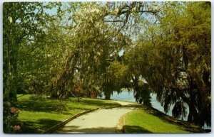 M-63614 World's Most Beautiful Garden Magnolia Charleston South Carolina