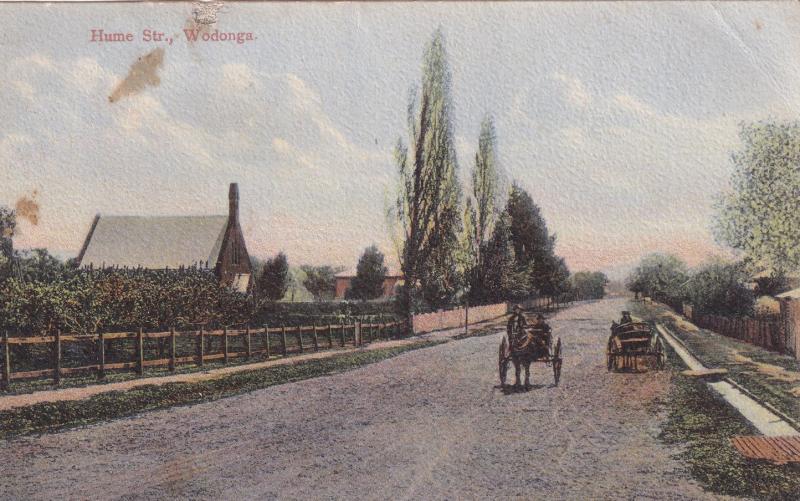 Hume Street Wodonga Australia Old Postcard