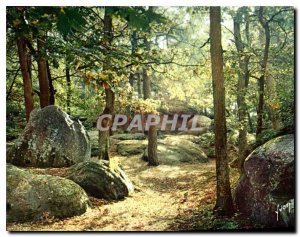 Modern Postcard La Douce France Melodie fall in forest