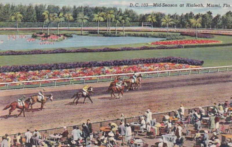 Florida Miami Mid Season Horse Racing At Hialeah 1947 Curteich