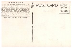 The Noon-Day Siesta Mexico Colorful Mexican Culture Postcard