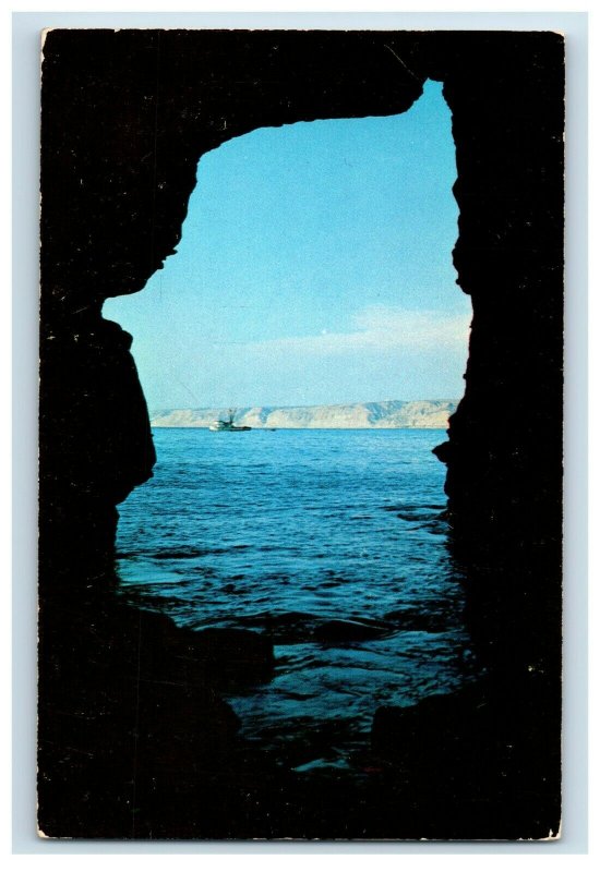 Vintage Sunny Jim Cave LA Jolla, CA Postcard F84
