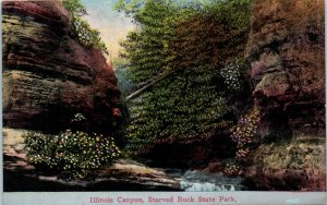 1910s Illinois Canyon Starved Rock State Park Illinois Postcard