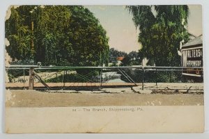 Shippensburg Pa The Branch & Advert Lizzie Myers to Cora Horst c1910 Postcard S3