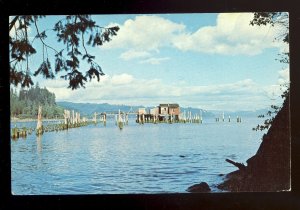 Knappton, Washington/WA Postcard, Hungry Harbor, Columbia River