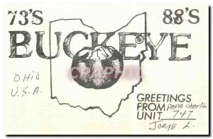 Modern Postcard Buckeye