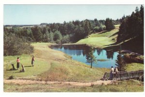Golf Course, Digby, Nova Scotia, Vintage Chrome Postcard