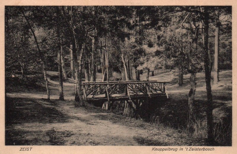 Knuppelbrug in Zeisterbosch,Zeist,Netherlands BIN