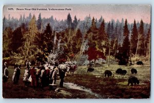 Wyoming Postcard Bears Near Old Faithful Yellowstone Park c1910 Vintage Antique