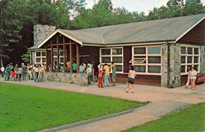 Lantz Maryland Camp Greentop Street View Vintage Postcard K84244