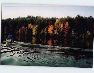 Postcard Dawn Paddle Lake/Nature Scenery