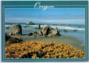 Postcard - Springtime Gorse Blooms at Bandon, Oregon, USA