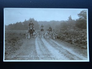 Cumbria Hunting Theme BUCKHOUNDS IN A NEW FOREST GLADE c1930s RP Postcard