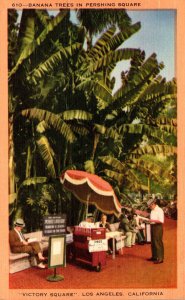 California Los Angeles Banana Trees In Pershing Square