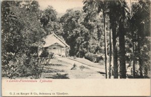 Indonesia 's Lands Plantentuin Tjibodas Java Vintage Postcard 04.15