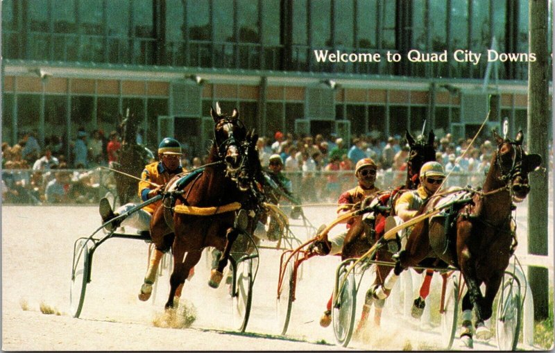 Horse Cart Racing Quad City Downs Chicago Illinois Postcard 