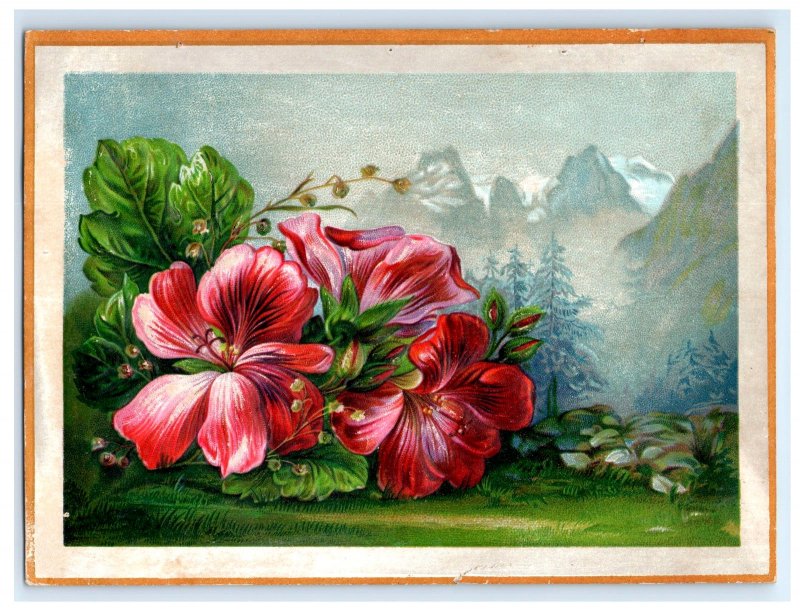 1880s-90s Embossed Bogue's Soap Co. Lovely Flowers Mountain #5T