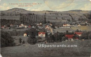 Birds Eye View - Callicoon Center, New York