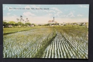 Mint Hawaiian Islands Rice Plantation and Sugar Mill Real Picture Postcard