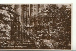 Hertfordshire Postcard - Fig Tree Growing Out of A Tomb - Watford - Ref 10741A