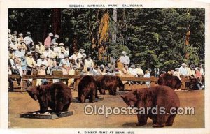 Bear Hill Sequoia National Park, CA 1941 