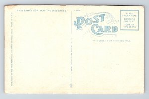 Mount Holy Cross Colorado CO WB Postcard UNP VTG Curt Teich Unused Vintage