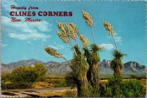 Howdy from Clines Corners NM Postcard PC474