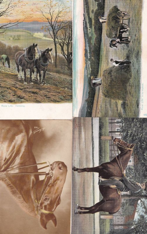 Rural Life Harrowing French Upper Class Equestrian 4x Old Horse Postcard s