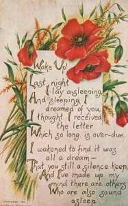 Red Flowers Wake Up Last Night Lay A Sleeping Vintage Postcard 1912