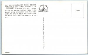 c1960s Cape Cod, Mass. Greetings Multi View Chrome Photo Collage Letter PC A237