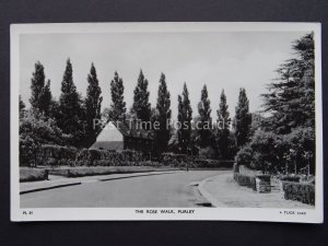 Croydon South London PURLEY The Rose Walk c1956 RP Postcard by Raphael Tuck PL21