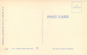 Comic~Exaggerated Fish Hooked~Big Fish in the Sea~1940s Linen Postcard