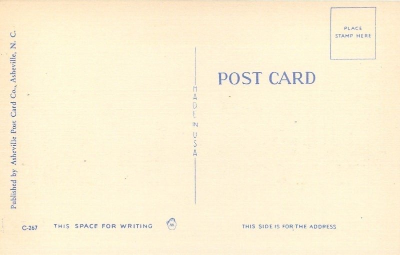 Comic~Exaggerated Fish Hooked~Big Fish in the Sea~1940s Linen Postcard