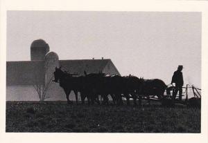 Spring Planting Amish Country