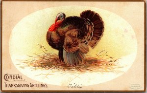 Vtg 1907 Cordial Thanksgiving Greetings Turkey Artist Signed Clapsaddle Postcard