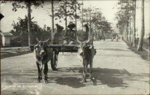 Singapore Suburb Caracao Pulling Wagon c1920s Real Photo Postcard