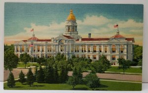 Cheyenne Wyoming State Capitol Building Postcard E16