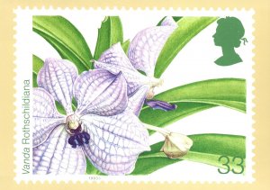 CONTINENTAL SIZE POSTCARD ORCHIDS (VANDA ROTHSCHILDIANA) 33c STAMP 1993 ENGLAND