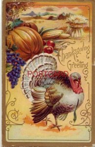 embossed Thanksgiving Series No 3 THANKSGIVING GREETING turkey & cornucopia 1908