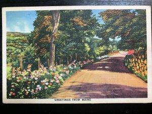 Vintage Postcard 1939 Greetings from Maine 