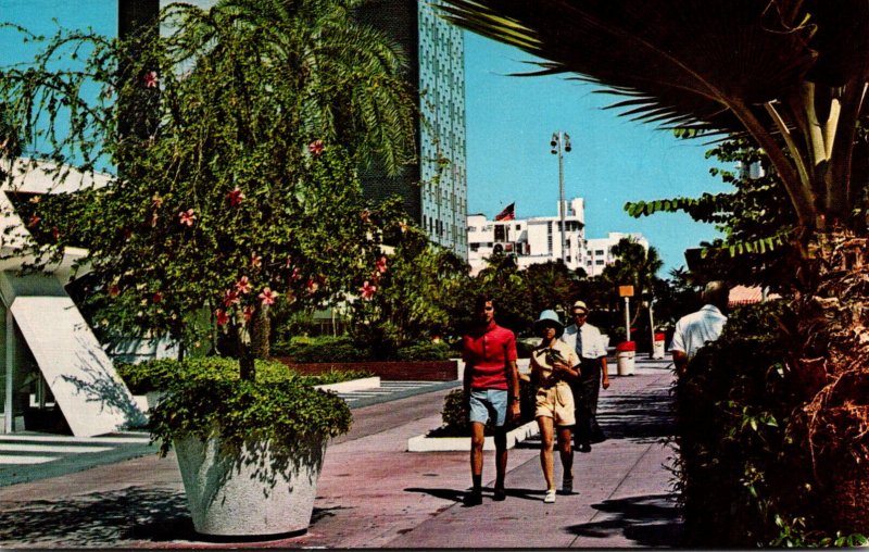 Lincoln Road Mall, Miami Beach, FL