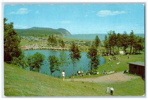 Fundy Park New Brunswick Canada Postcard Canada's Motourland 1957 Vintage