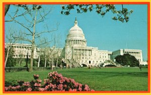 Postcard United States Capitol Building Historic World-Famous Hub Washington DC