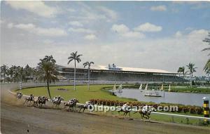 Club House turn at Gulfstream Park Horse Racing Unused 