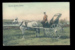 1909 Postcard  Caleche - A horse drawn cart Quebec  QU Canada B2859