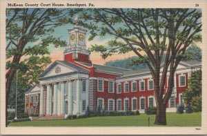 Postcard McKean County Court House Smethport PA