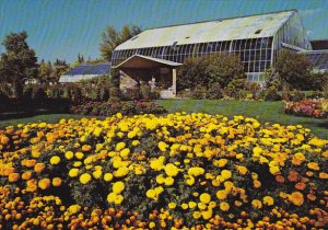 Canada Marigolds and Tropical Aviary Calgary Zoo Alberta